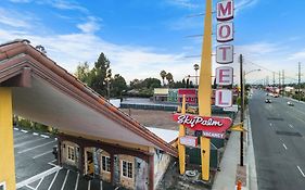 Sky Palm Motel - Orange